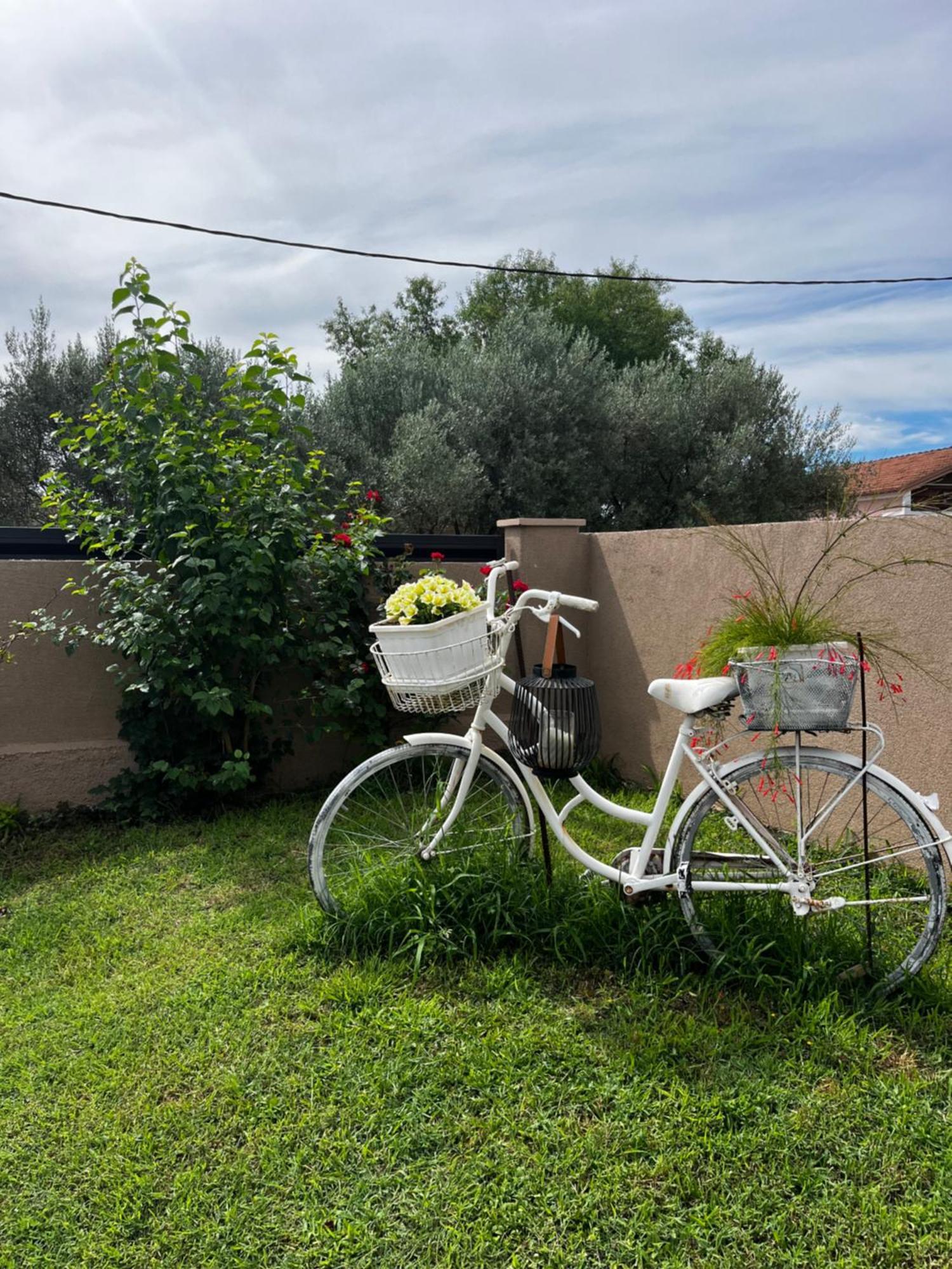 Apartman Marta Zadar Zewnętrze zdjęcie